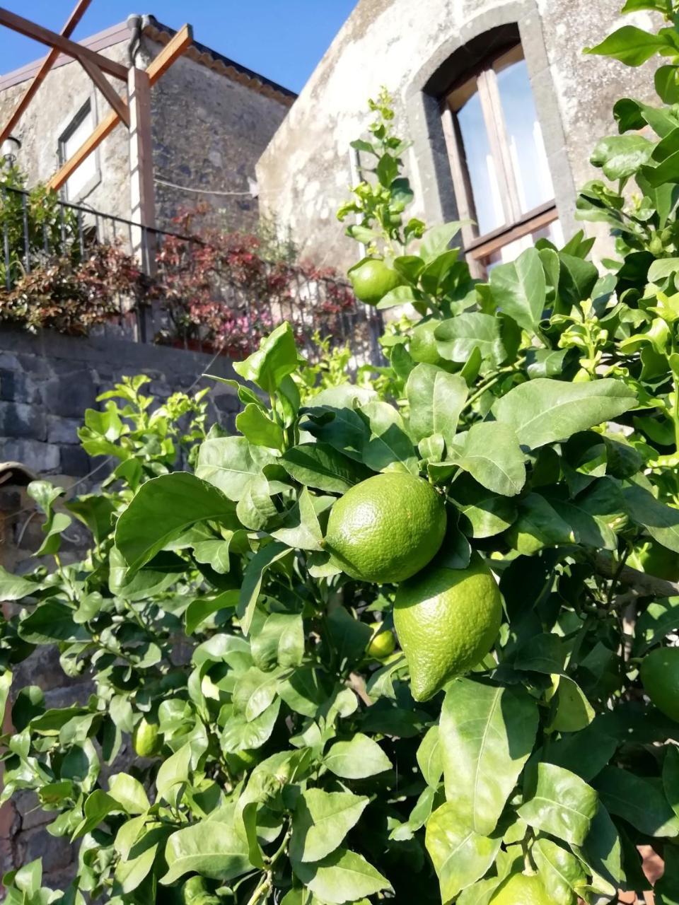 마스칼리 La Pietra Antica O' Munti 빌라 외부 사진